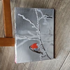 Ganz, light-up, Winter Robin, 8x6, wall decor